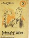 Puddingfejű Wilson