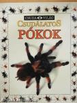 Csudálatos pókok