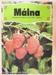 Málna