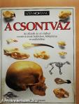 A csontváz