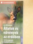 Állatok és növények az erdőben