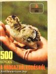 500 kérdés a vadgazdálkodásról