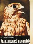 Hazai ragadozó madaraink