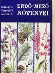 Erdő-mező növényei