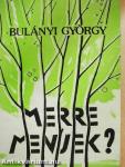 Merre menjek?