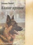 Kántor nyomoz