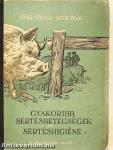 Gyakoribb sertésbetegségek/Sertéshigiéne