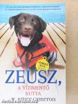Zeusz, a vízimentő kutya
