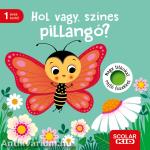 Hol vagy, színes pillangó?