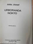Urboranda nokto
