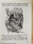 Maugli kalandjai az őserdőben