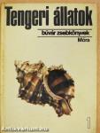 Tengeri állatok 1.