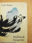 Hullámok kergetése