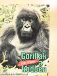 Gorillák a ködben