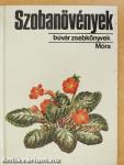 Szobanövények