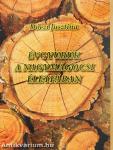 Évgyűrűk a nagymágocsi életfában