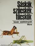 Sáskák, szöcskék, tücskök