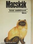 Macskák