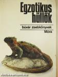 Egzotikus hüllők