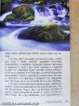 A képzeleten túl
