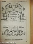 A láb- és talpmasszázs nagy könyve