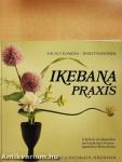 Ikebanapraxis