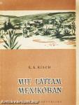 Mit láttam Mexikóban