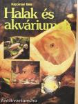 Halak és akváriumok