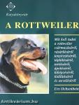 A rottweiler