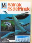 Bálnák és delfinek
