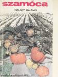 Szamóca