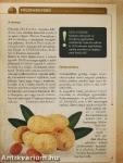 A természet gyógyereje 4.