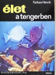 Élet a tengerben