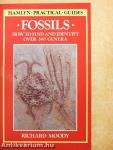 Fossils