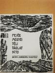 Fejér megyei téli tárlat 1978