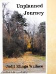 Unplanned Journey