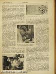 Zászlónk 1938. szeptember-1939. június