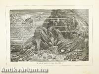 A Föld és az élet története