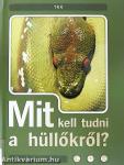 Mit kell tudni a hüllőkről?
