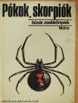 Pókok, skorpiók