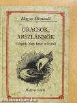Uracsok, arszlánnők
