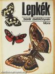Lepkék