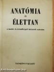 Anatómia és élettan