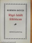 Rigó kiált fölöttem