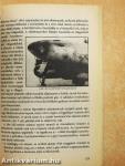 A legendás ME-262, a viharmadár