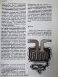 Orvos a családban