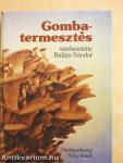 Gombatermesztés