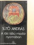 A lőtt lábú madár nyomában