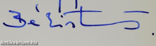 Írott ikon (dedikált példány)