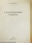 A kaucsuklabda varázsa